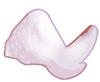 Boneless Chiken Wing